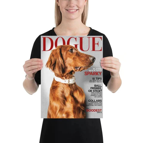 Dog Collars  Buy Online at DOGUE