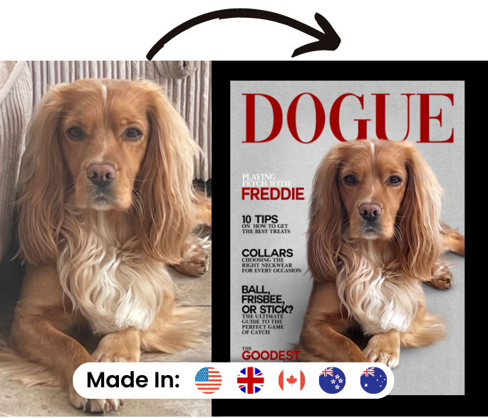 Dog Collars  Buy Online at DOGUE